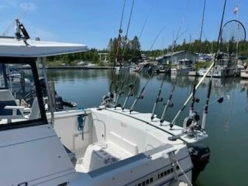 Slide: The Image of Bayliner 2452 Ciara Classic 1993 - 4270688