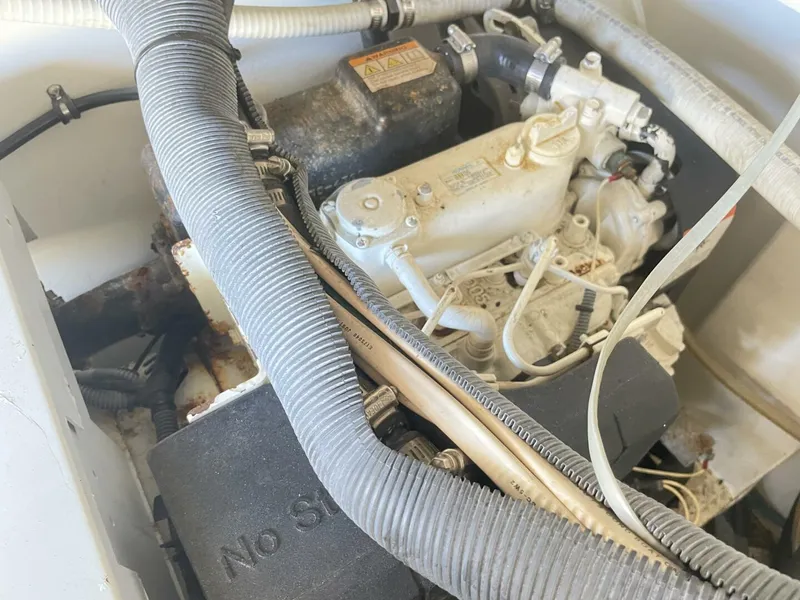 Slide: The Image of Rampage 38 Express 2007 - 4339951