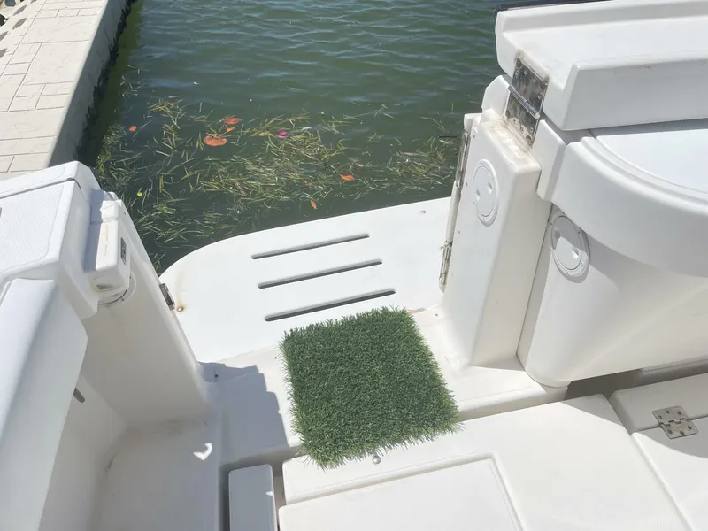 Slide: The Image of Rampage 38 Express 2007 - 4339955