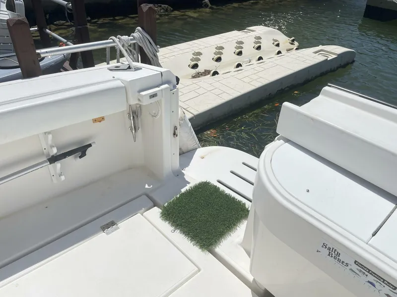 Slide: The Image of Rampage 38 Express 2007 - 4339956