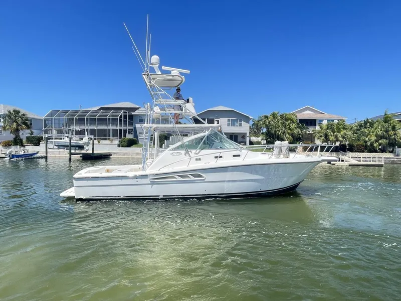 Slide: The Image of Rampage 38 Express 2007 - 4339979