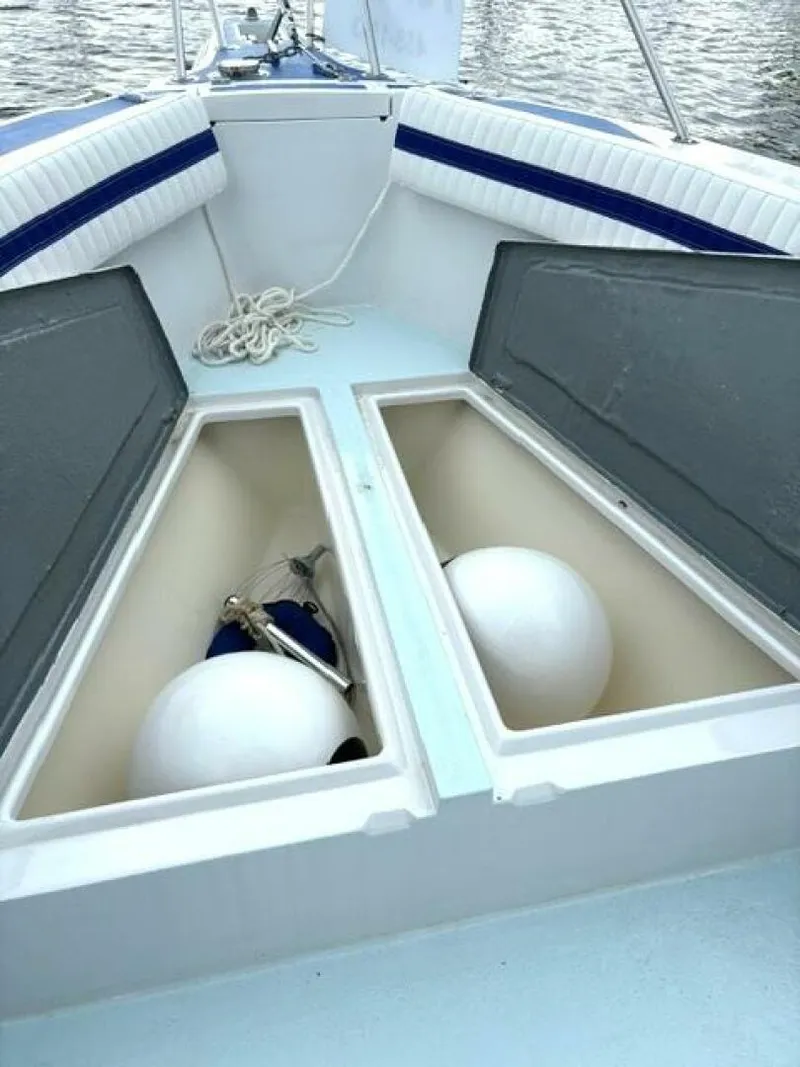 Slide: The Image of Robalo Wahoo 1989 - 4387421