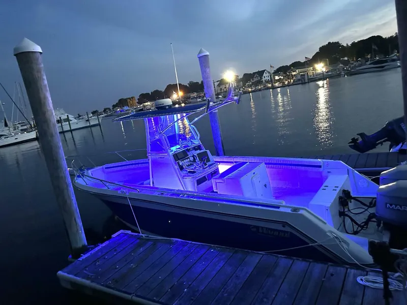 Slide: The Image of Robalo Wahoo 1989 - 4286309