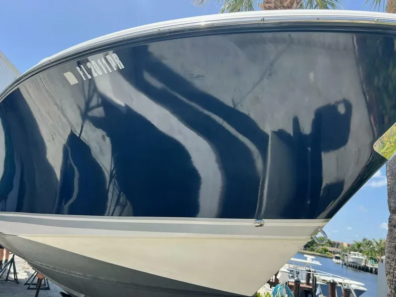 Slide: The Image of Pursuit S 310 Sport 2009 - 4290092