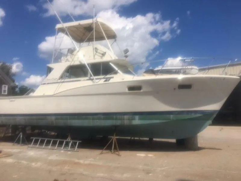 The Image of Chris-Craft Tournament 1973 - 4290106