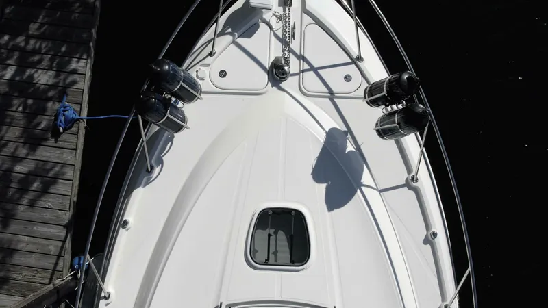 Slide: The Image of Sea Ray 45 Sundancer 2010 - 4315813