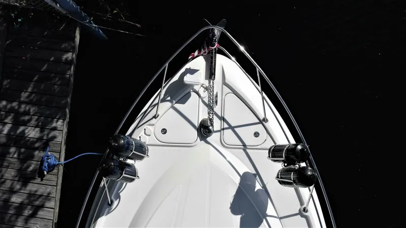 Slide: The Image of Sea Ray 45 Sundancer 2010 - 4315814