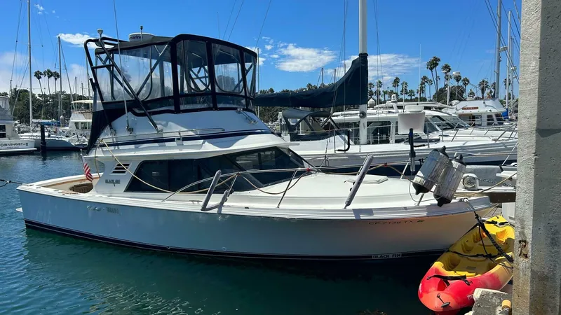 Slide: The Image of Blackfin 29 Flybridge 1988 - 4320745
