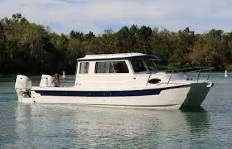 Slide: The Image of C-Dory TOMCAT 255 2025 - 4321197