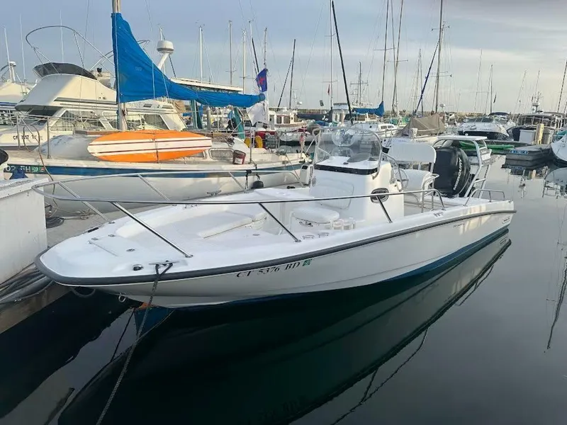 Slide: The Image of Boston Whaler DAUNTLESS 2009 - 4321259