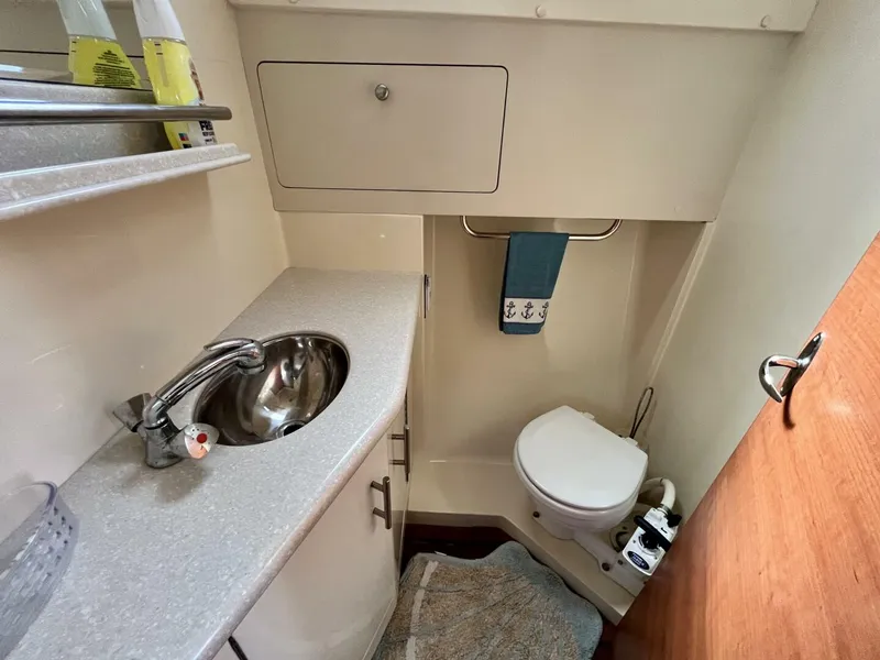 Slide: The Image of Marlow-Hunter 33 2012 - 4329171