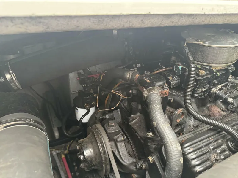 Slide: The Image of Carver Mariner 3297 1990 - 4334075