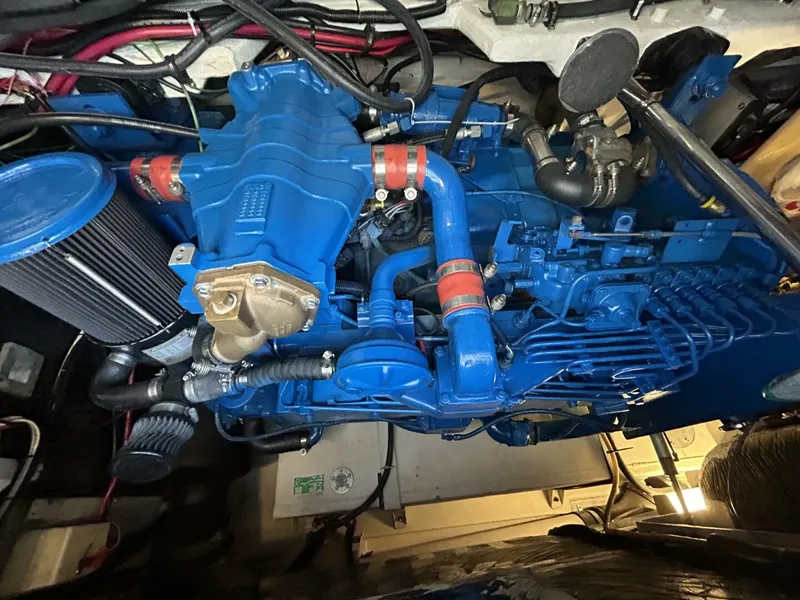 Slide: The Image of 40 Tiara 1995 400 EXP 'SPROUT' Mechanical - 4340988