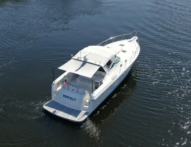 Slide: The Image of 40 Tiara 1995 400 EXP 'SPROUT' Stern Ariel - 4340996