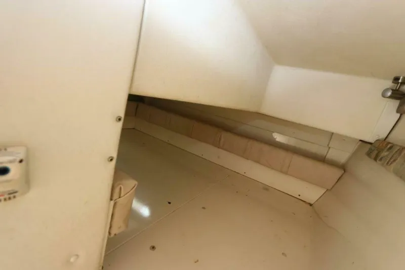 Slide: The Image of Stingray 240 CS 2006 - 4357856