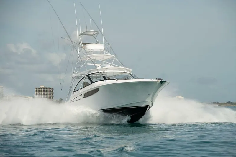 The Image of Mag Bay 42 2026 - 4364173