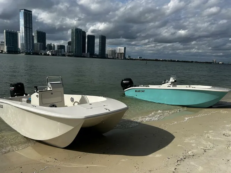 The Image of BlueCat 17 2025 - 4365139