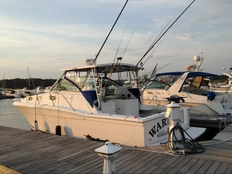 Slide: The Image of WARTHOG_Sunset - 4374704