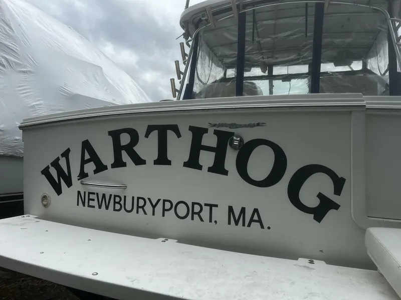 Slide: The Image of WARTHOG_Transom W Swim Platform - 4372580