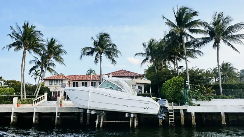 The Image of 2019 World Cat 320 - 4387080