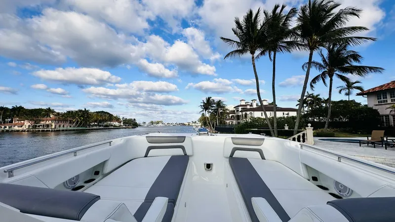 Slide: The Image of World Cat 320 DC 2019 - 4387095