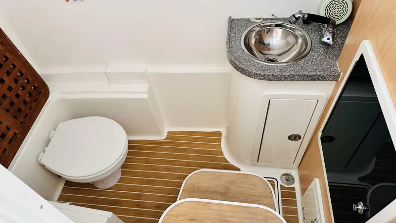 Slide: The Image of World Cat 320 DC 2019 - 4387091