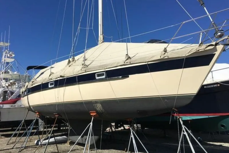 Slide: The Image of Norseman 400 1987 - 6387690