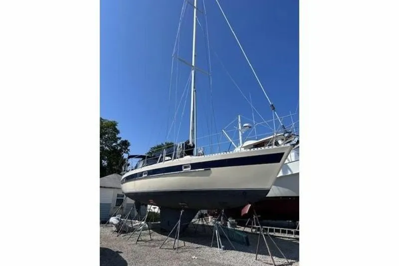 Slide: The Image of Norseman 400 1987 - 6387691