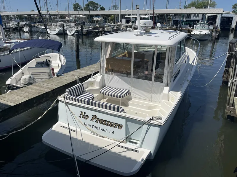 The Image of Back Cove 34 - 5196238