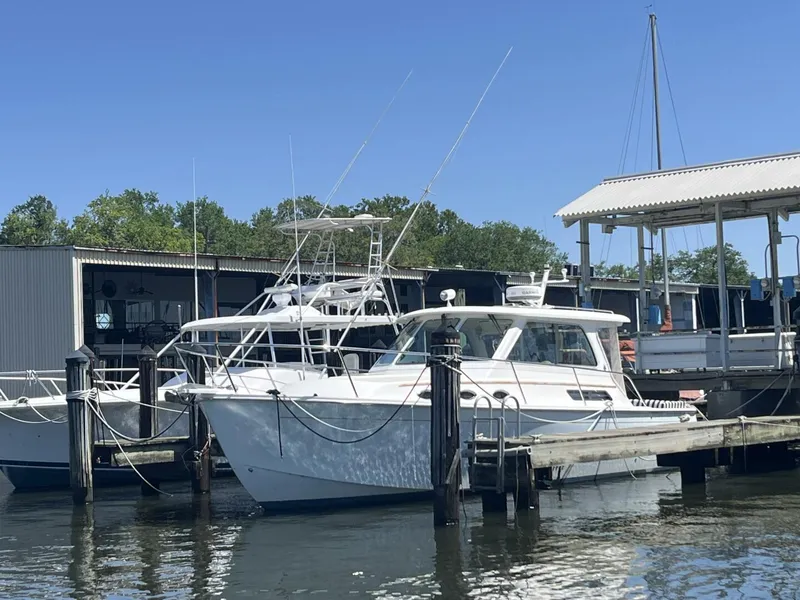 Slide: The Image of Back Cove 34 - 5196236