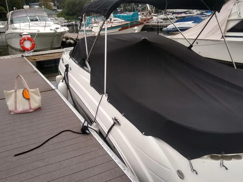 Slide: The Image of Chaparral 26 2008 - 4380636