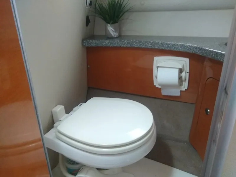 Slide: The Image of Chaparral 26 2008 - 4380639