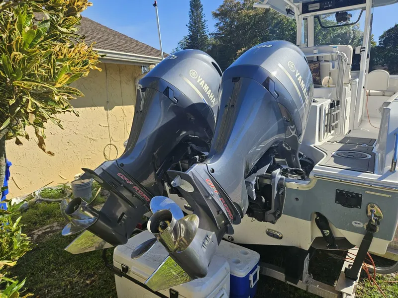 Slide: The Image of Sea Hunt 25 2021 - 4386276