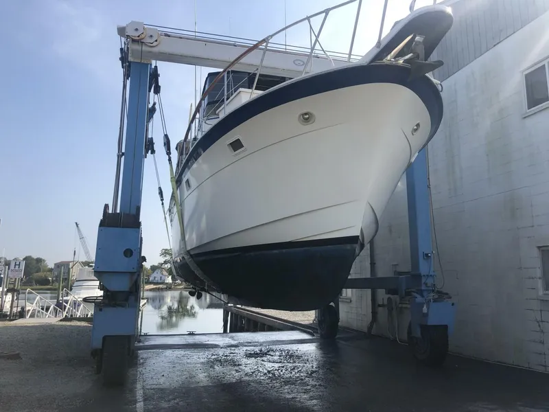 Slide: The Image of Hauled Out 1 - 4394995