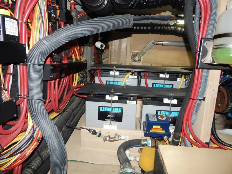 Slide: The Image of Shannon 53 HPS 2010 - 4397410