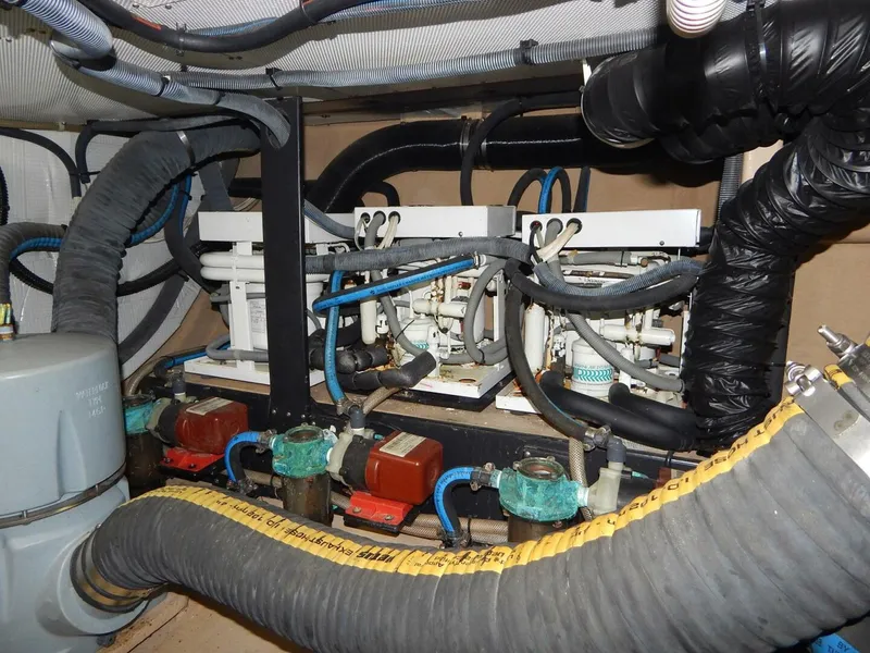 Slide: The Image of Shannon 53 HPS 2010 - 4397412