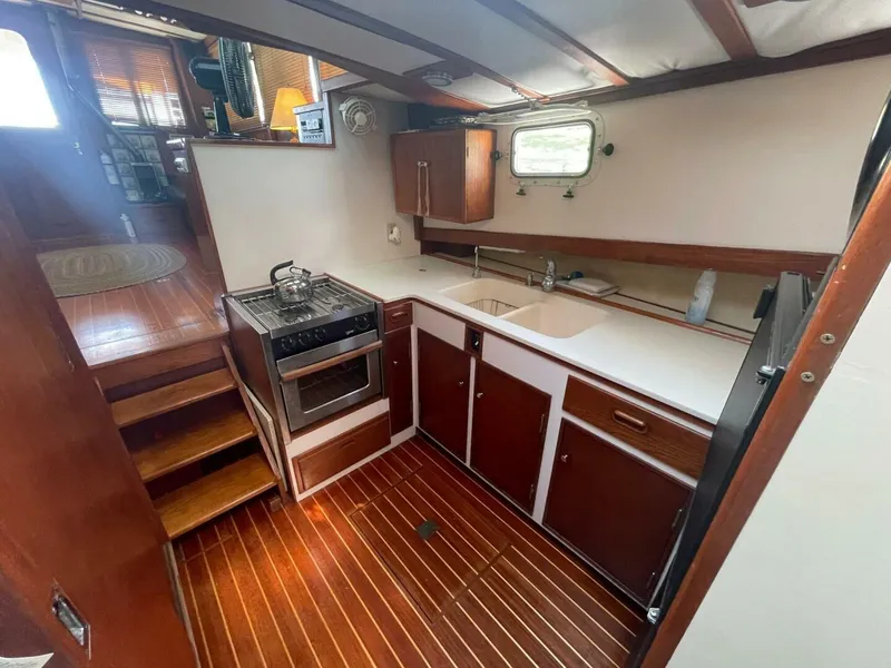 Slide: The Image of Jarvis Newman 46 1979 - 4473370