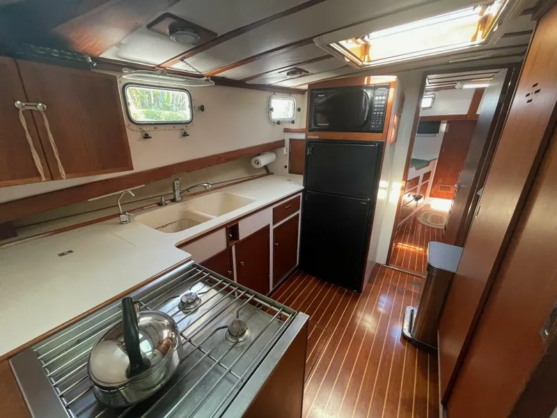 Slide: The Image of Jarvis Newman 46 1979 - 4473371