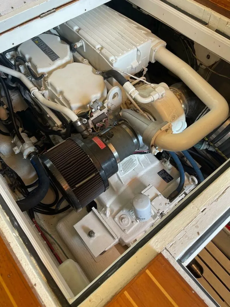 Slide: The Image of Jarvis Newman 46 1979 - 4473374