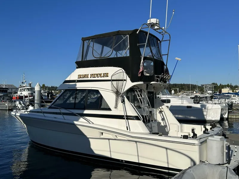 Slide: The Image of Riviera 34 2000 - 4403385