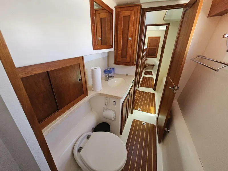 Slide: The Image of Maine Cat Power Cat 47 2012 - 4408628