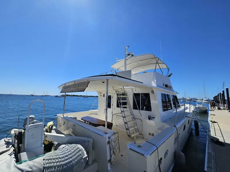 Slide: The Image of Maine Cat Power Cat 47 2012 - 4408474