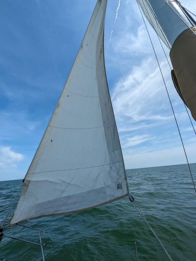 Slide: The Image of Freedom 45 CC 1989 - 4455689