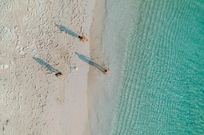 Slide: The Image of Hargrave 108 2006 - 4416741