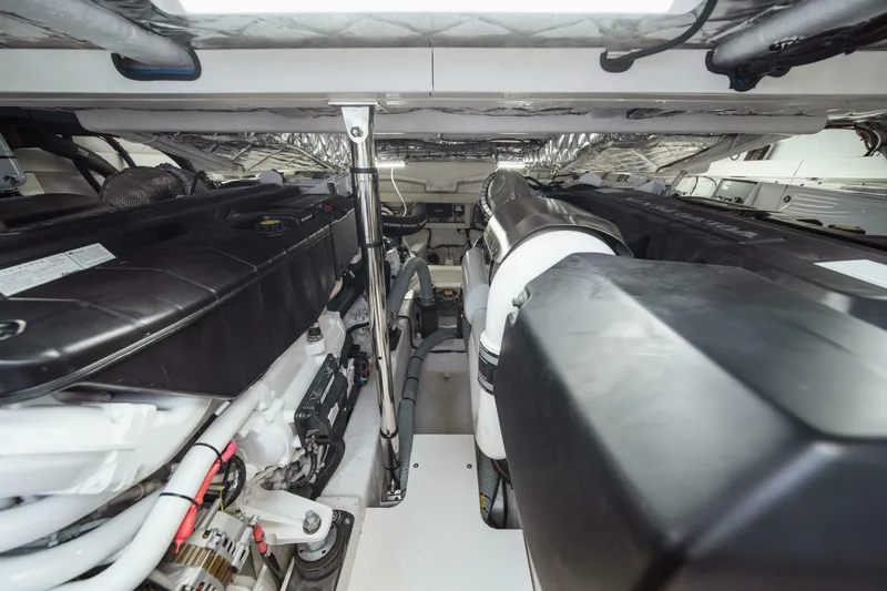 Slide: The Image of Sacs Rebel 50 2025 - 5446145