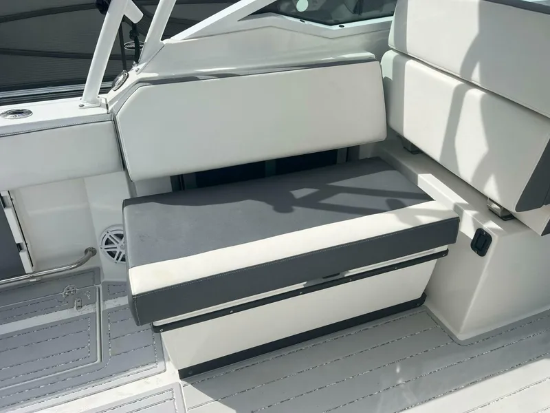 Slide: The Image of Blackfin 272 DC 2019 - 4441673