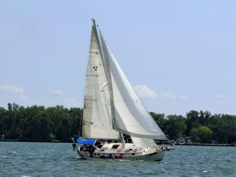 The Image of Tayana 37 1980 - 4455958