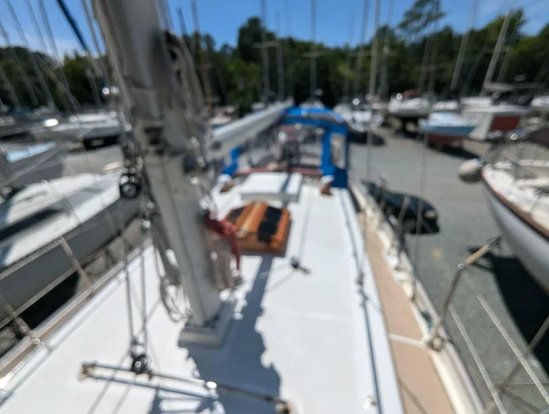 Slide: The Image of Tayana 37 1980 - 4456064