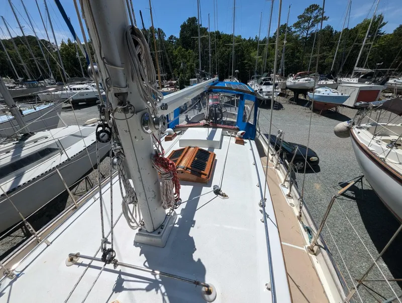 Slide: The Image of Tayana 37 1980 - 4456065