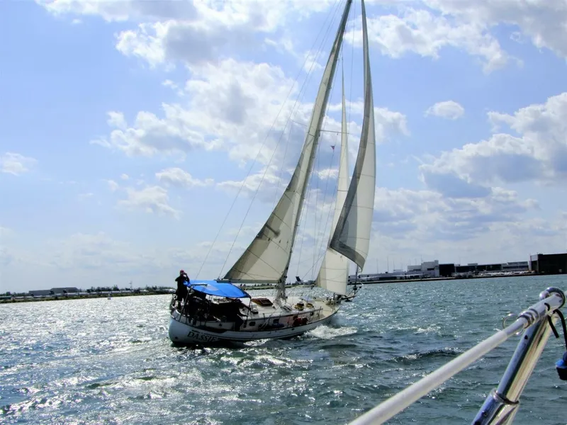 Slide: The Image of Tayana 37 1980 - 4456076